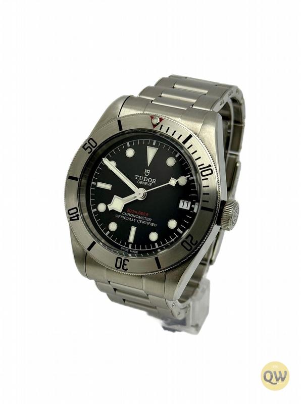 Tudor Black Bay Heritage Steel