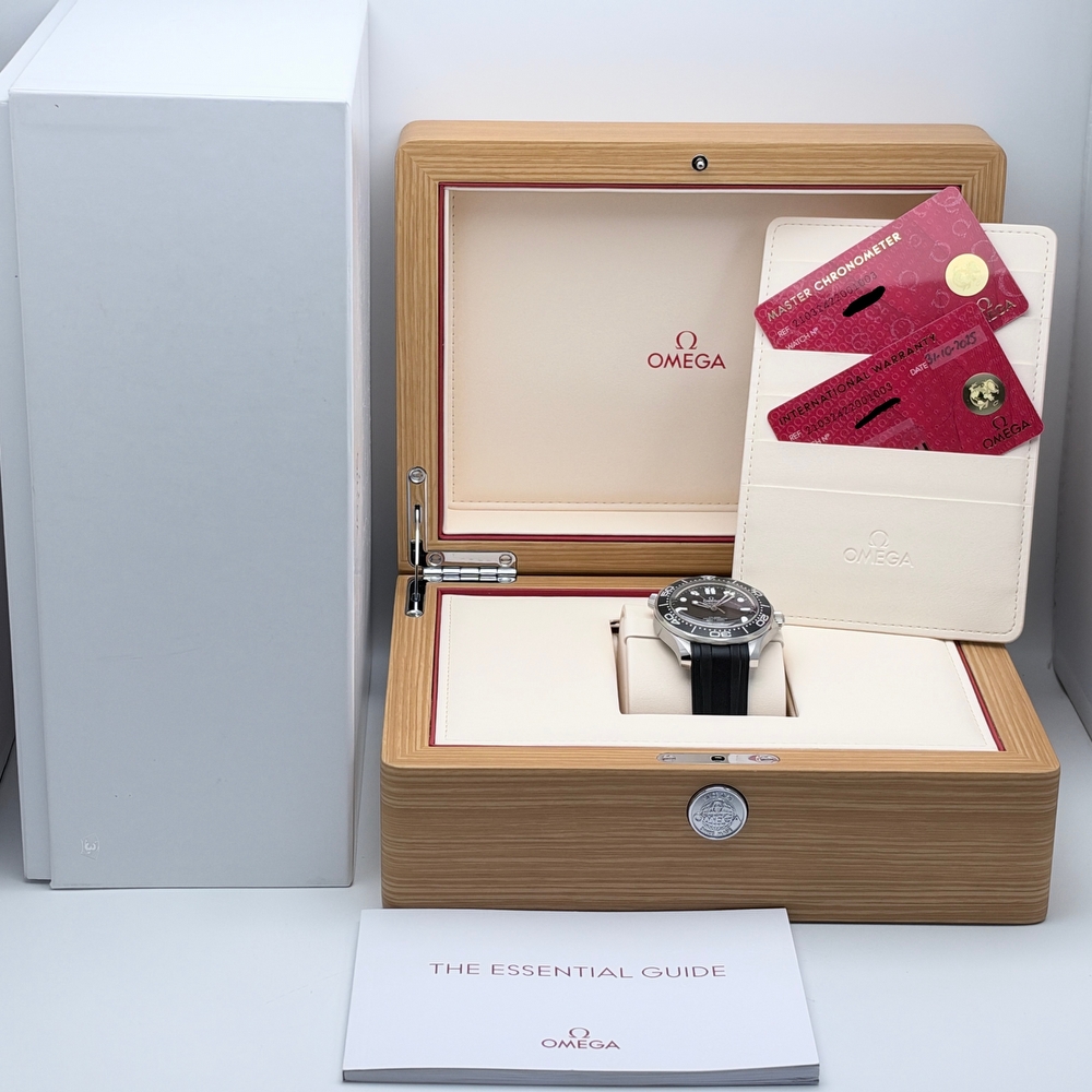 Omega Seamaster Diver 300M Co-Axial Master Chronometer No-Date