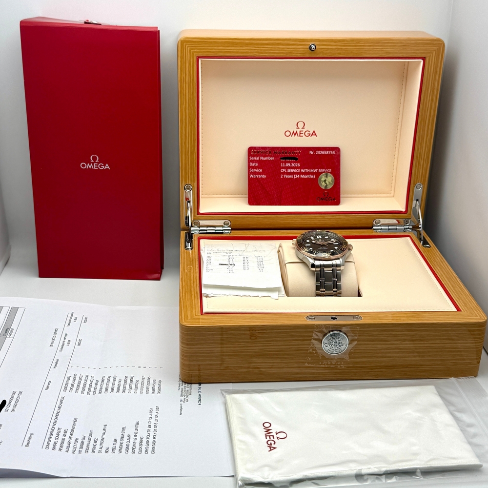 Omega Seamaster Diver 300M Co-Axial Master Chronometer Steel & Sedna Gold