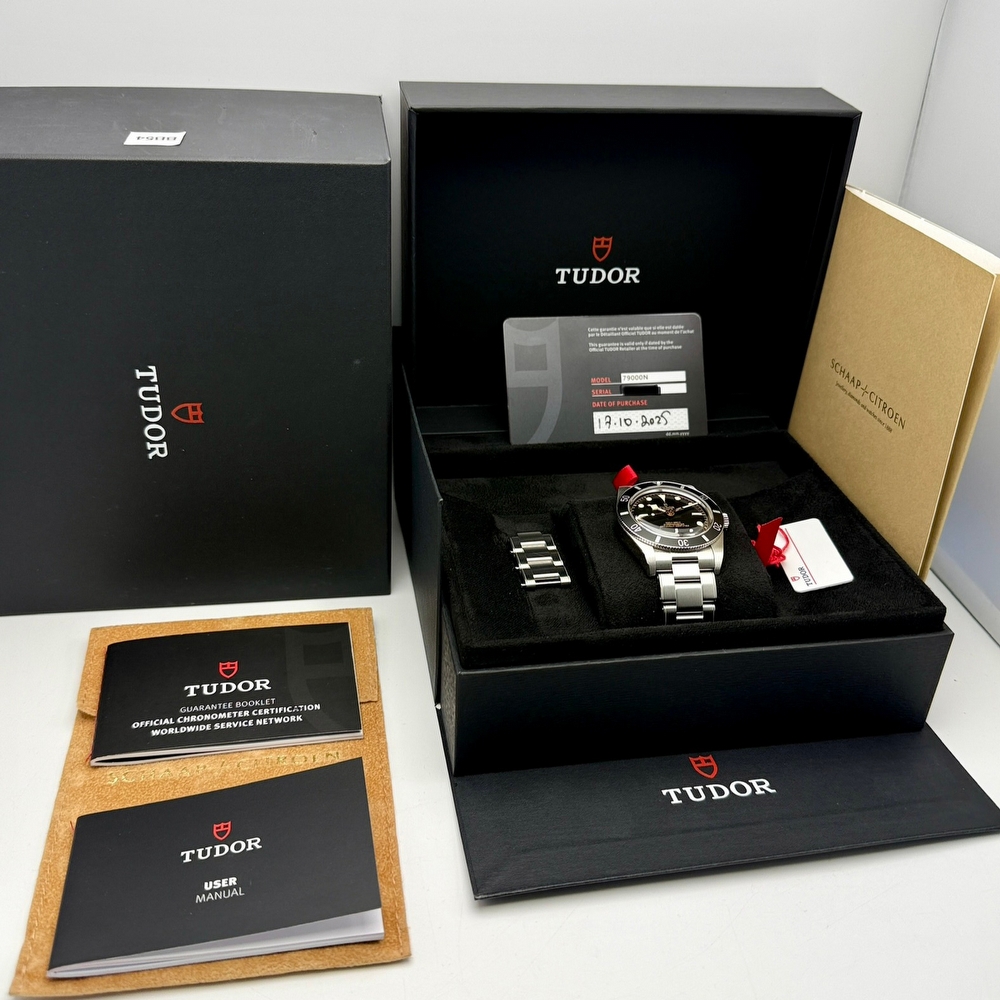 Tudor Black Bay 54