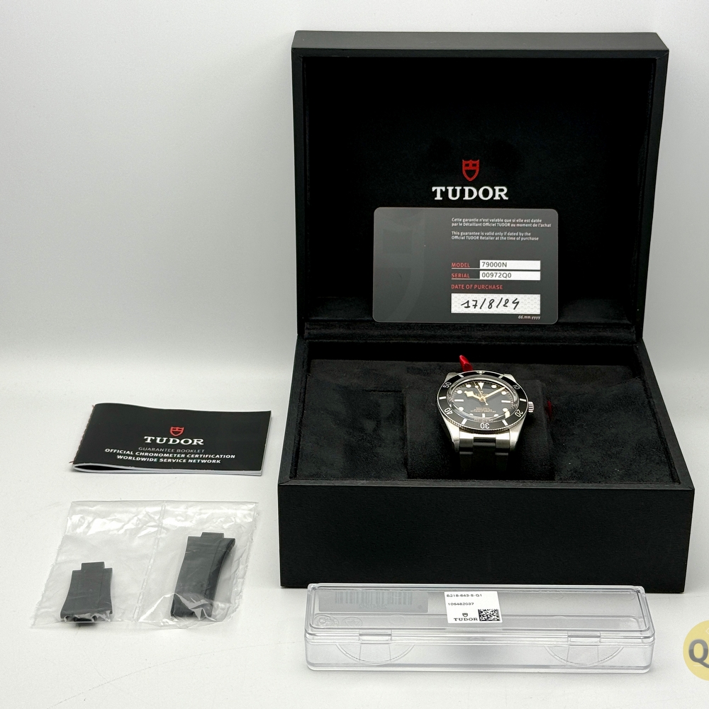 Tudor Black Bay 54 Rubber