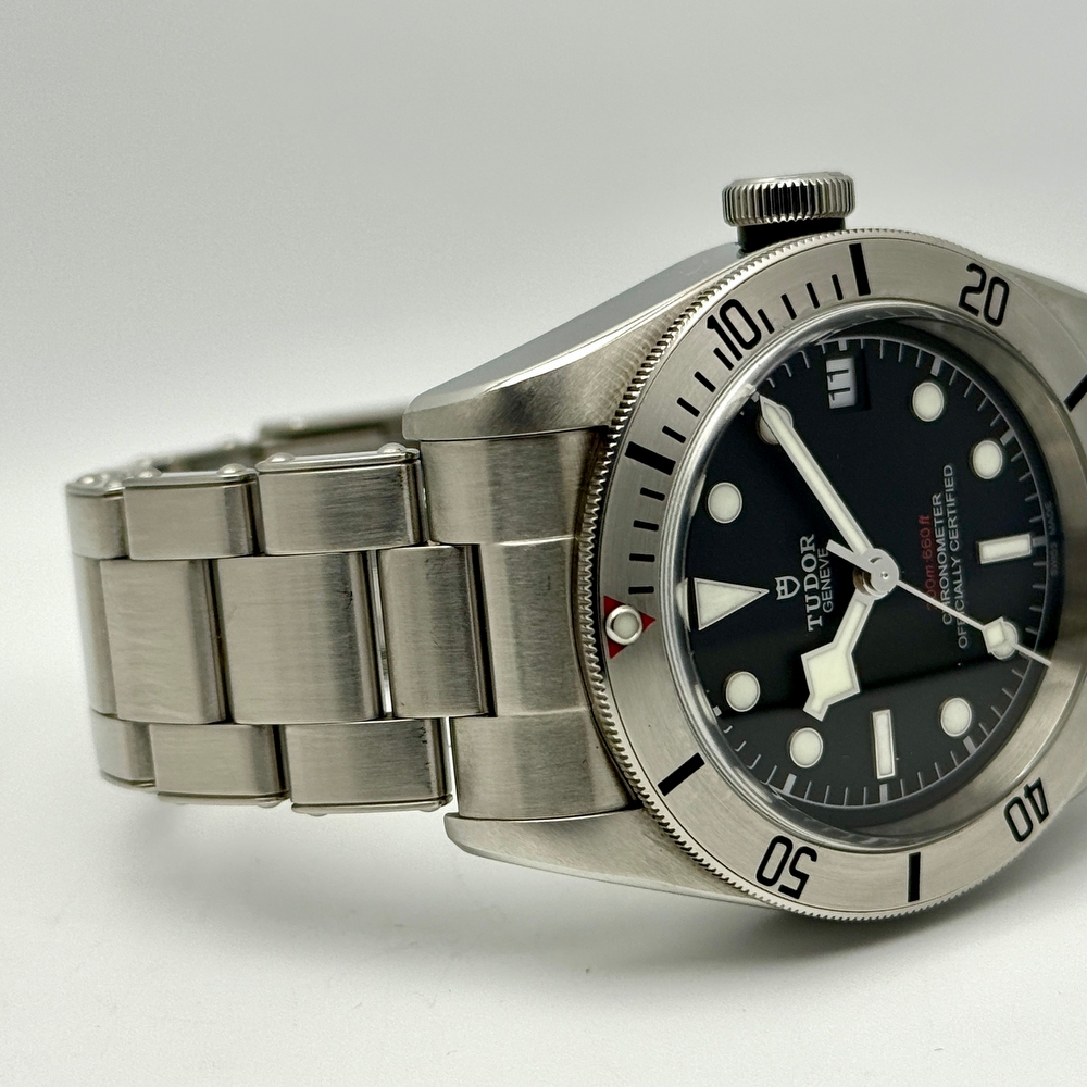 Tudor Black Bay Heritage Steel