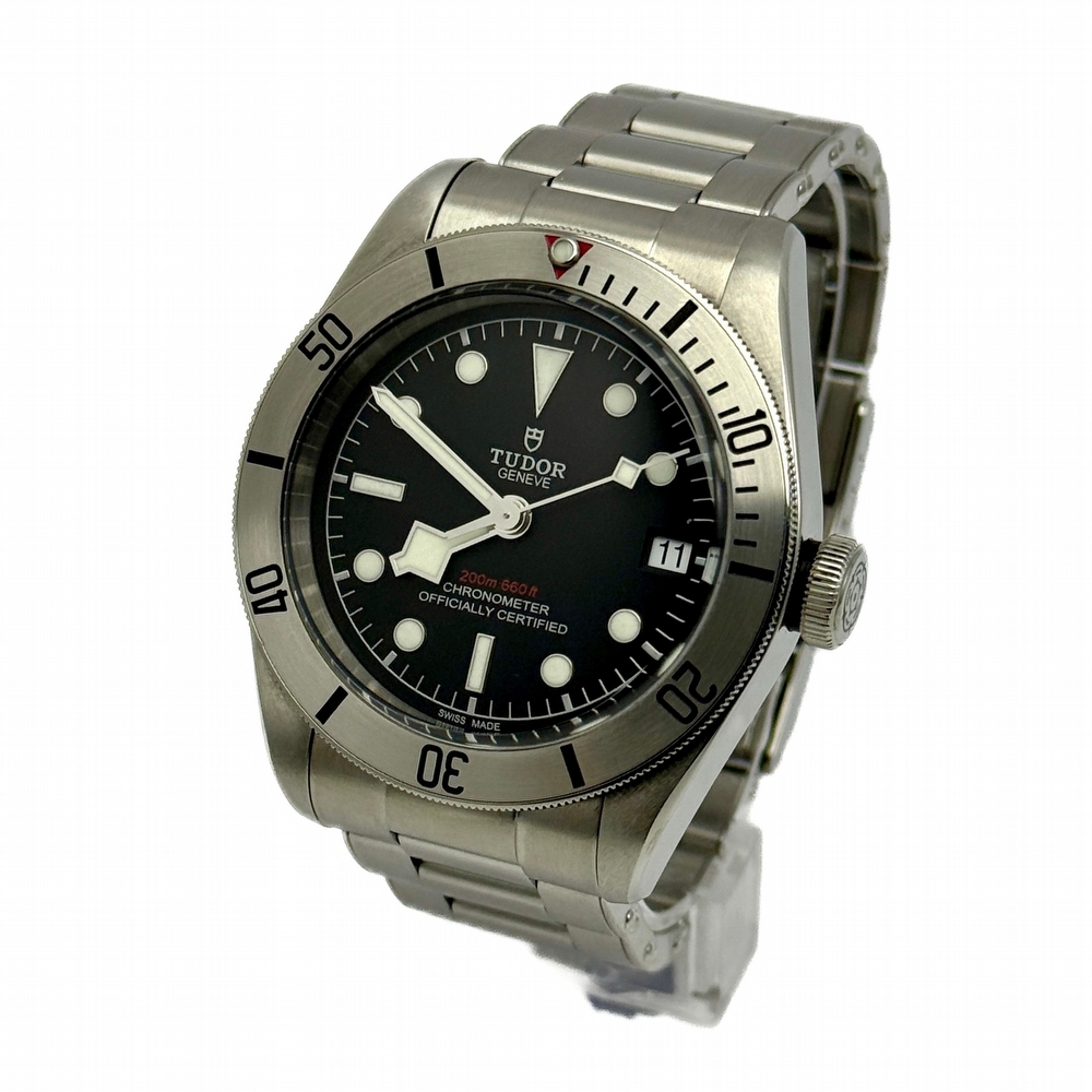 Tudor Black Bay Heritage Steel