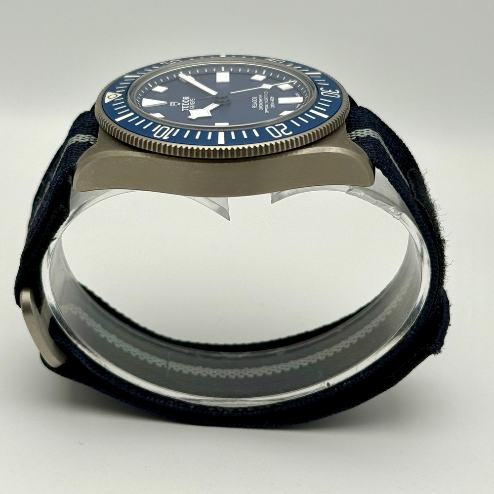Tudor Pelagos FXD MN22