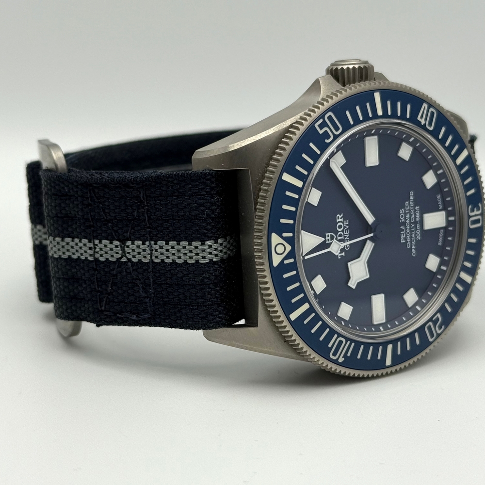 Tudor Pelagos FXD MN22