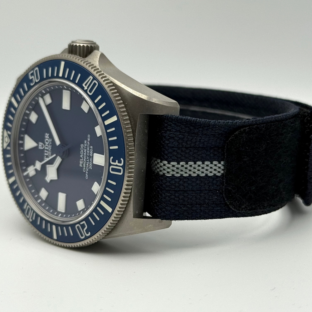 Tudor Pelagos FXD MN22