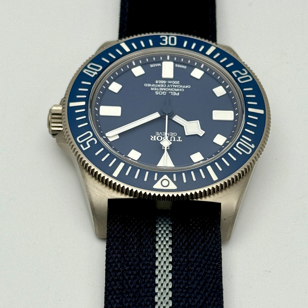 Tudor Pelagos FXD MN23