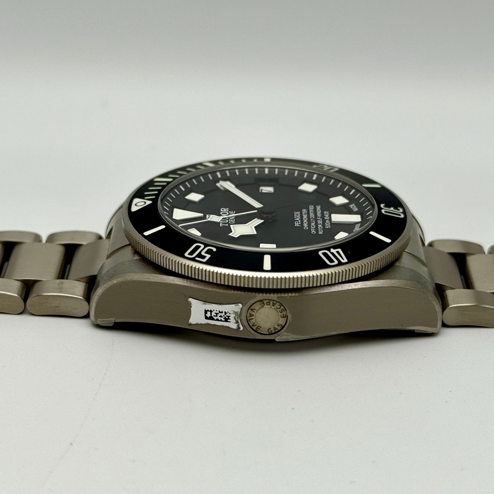 Tudor Pelagos Titanium