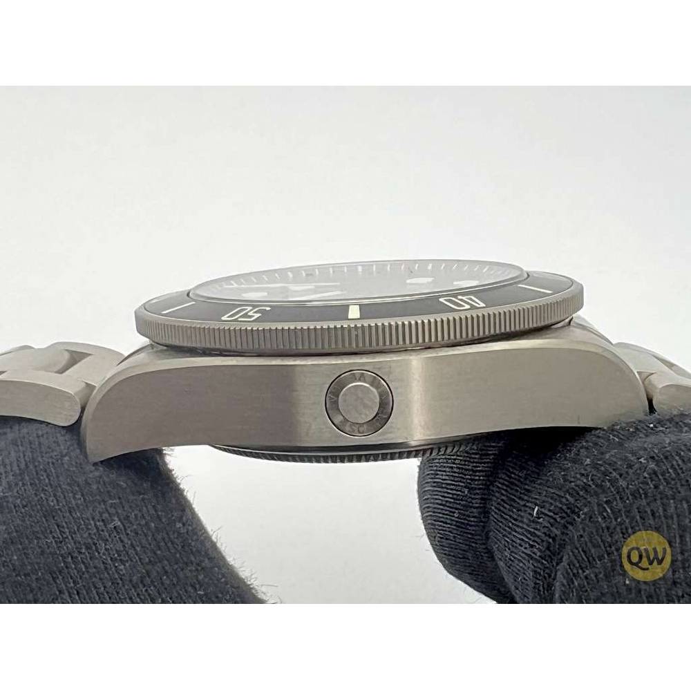 Tudor Pelagos Titanium